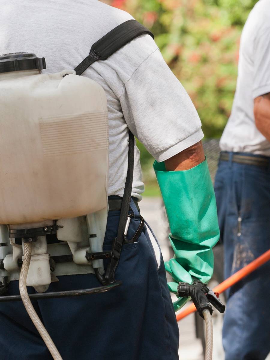 Give us a call for professional service from Pro Pest Control!